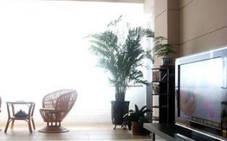 2025最火装饰公司名字灵感库来了